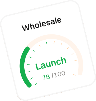 A Wholesale product verdict card scoring 78 out of 100 with a Launch recommendation.